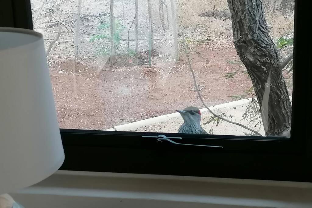 Amukela Kaya Villa Hoedspruit Dış mekan fotoğraf