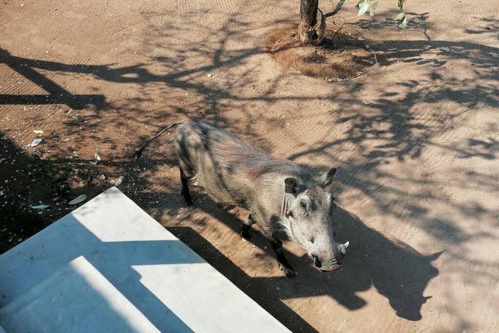 Amukela Kaya Villa Hoedspruit Dış mekan fotoğraf