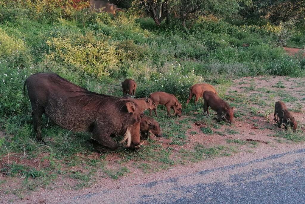 Amukela Kaya Villa Hoedspruit Dış mekan fotoğraf