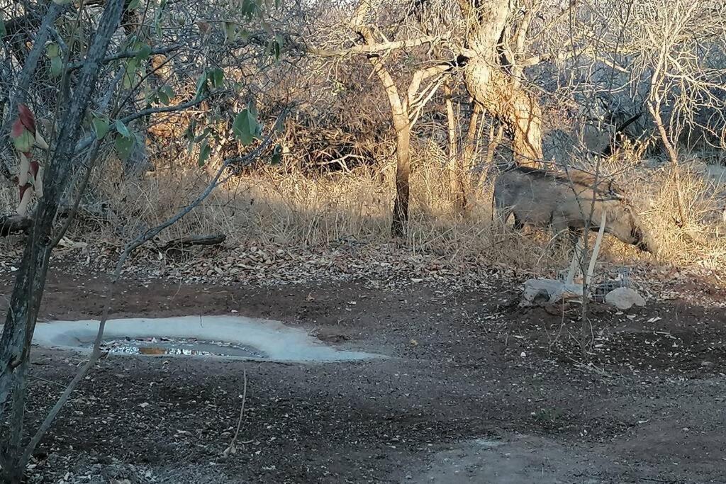 Amukela Kaya Villa Hoedspruit Dış mekan fotoğraf
