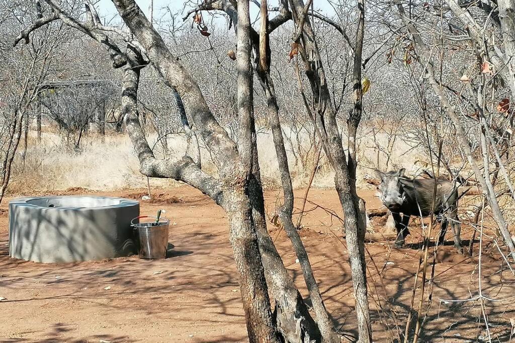 Amukela Kaya Villa Hoedspruit Dış mekan fotoğraf